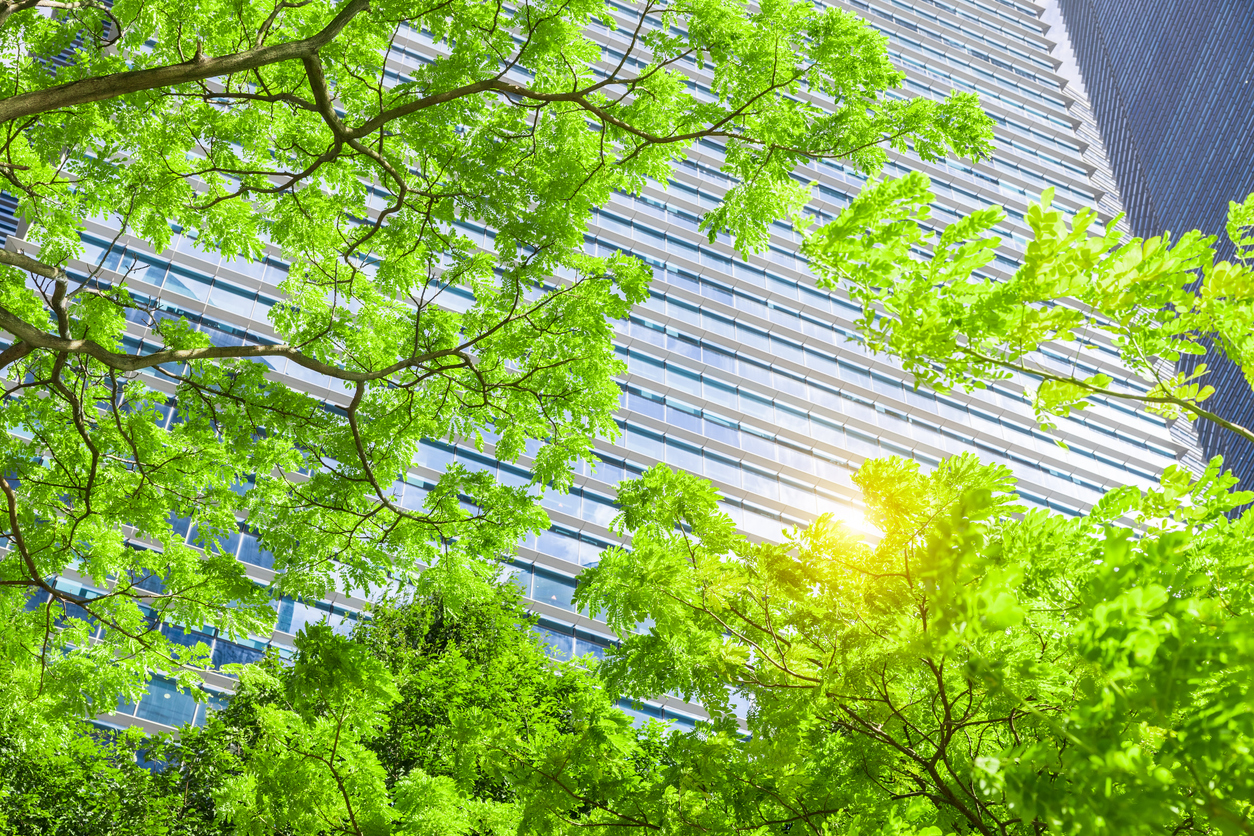 Climate Disclosure Regimes Offer Insights for Future US Policy