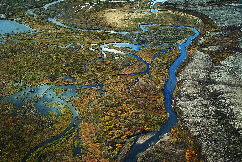 Aerial view of wetlands and tundra in Alaska.