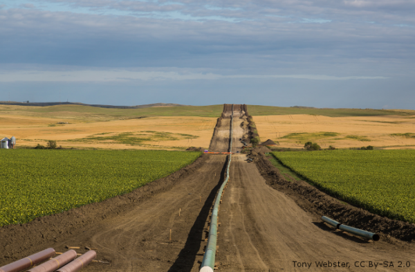 A pipeline runs through the dirt in between grass.