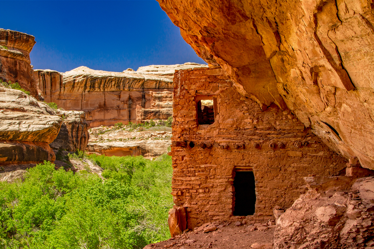 A well preserved cliff dwelling overlooks a lush green canyon.