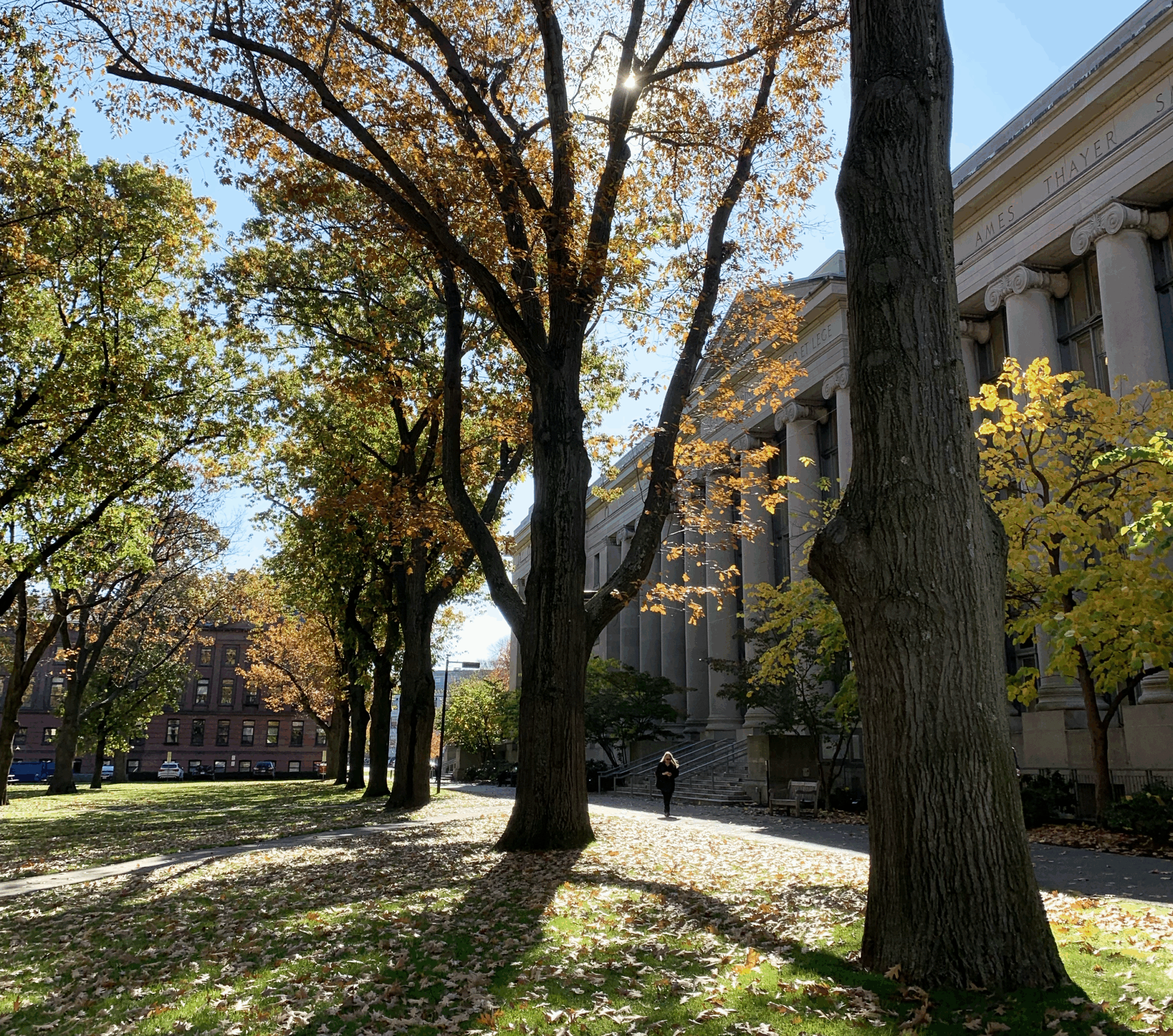 Now Hiring: Managing Attorney to Advance Equitable Climate and Environmental Policy