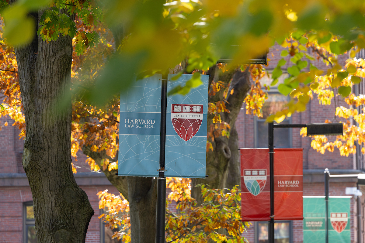 Harvard Law School banners hanging on poles among trees with changing fall leaves
